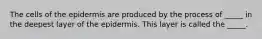 The cells of the epidermis are produced by the process of _____ in the deepest layer of the epidermis. This layer is called the _____.