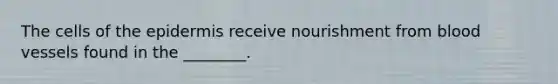 The cells of the epidermis receive nourishment from blood vessels found in the ________.