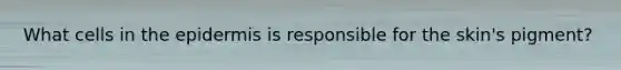 What cells in the epidermis is responsible for the skin's pigment?