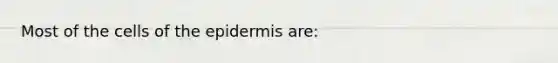 Most of the cells of <a href='https://www.questionai.com/knowledge/kBFgQMpq6s-the-epidermis' class='anchor-knowledge'>the epidermis</a> are: