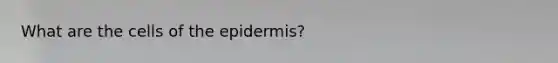 What are the cells of <a href='https://www.questionai.com/knowledge/kBFgQMpq6s-the-epidermis' class='anchor-knowledge'>the epidermis</a>?