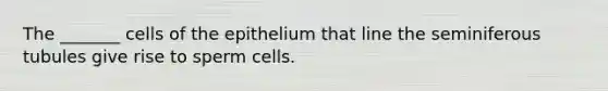 The _______ cells of the epithelium that line the seminiferous tubules give rise to sperm cells.