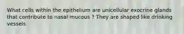 What cells within the epithelium are unicellular exocrine glands that contribute to nasal mucous ? They are shaped like drinking vessels