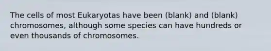 The cells of most Eukaryotas have been (blank) and (blank) chromosomes, although some species can have hundreds or even thousands of chromosomes.