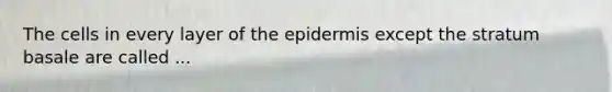 The cells in every layer of the epidermis except the stratum basale are called ...