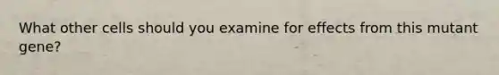 What other cells should you examine for effects from this mutant gene?
