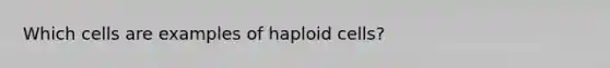 Which cells are examples of haploid cells?