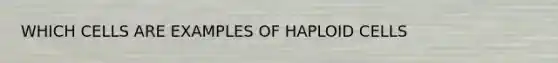 WHICH CELLS ARE EXAMPLES OF HAPLOID CELLS