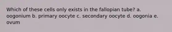 Which of these cells only exists in the fallopian tube? a. oogonium b. primary oocyte c. secondary oocyte d. oogonia e. ovum