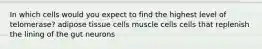 In which cells would you expect to find the highest level of telomerase? adipose tissue cells muscle cells cells that replenish the lining of the gut neurons