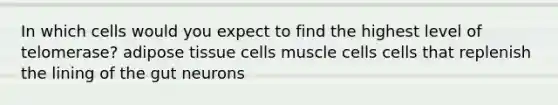 In which cells would you expect to find the highest level of telomerase? adipose tissue cells muscle cells cells that replenish the lining of the gut neurons