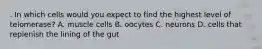 . In which cells would you expect to find the highest level of telomerase? A. muscle cells B. oocytes C. neurons D. cells that replenish the lining of the gut