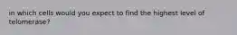 in which cells would you expect to find the highest level of telomerase?