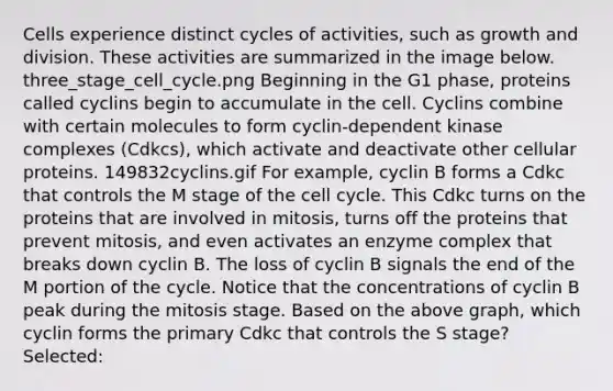 Cells experience distinct cycles of activities, such as growth and division. These activities are summarized in the image below. three_stage_cell_cycle.png Beginning in the G1 phase, proteins called cyclins begin to accumulate in the cell. Cyclins combine with certain molecules to form cyclin-dependent kinase complexes (Cdkcs), which activate and deactivate other cellular proteins. 149832cyclins.gif For example, cyclin B forms a Cdkc that controls the M stage of the cell cycle. This Cdkc turns on the proteins that are involved in mitosis, turns off the proteins that prevent mitosis, and even activates an enzyme complex that breaks down cyclin B. The loss of cyclin B signals the end of the M portion of the cycle. Notice that the concentrations of cyclin B peak during the mitosis stage. Based on the above graph, which cyclin forms the primary Cdkc that controls the S stage? Selected: