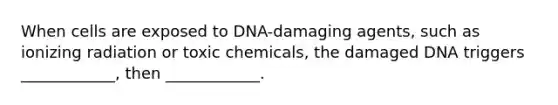 When cells are exposed to DNA-damaging agents, such as ionizing radiation or toxic chemicals, the damaged DNA triggers ____________, then ____________.