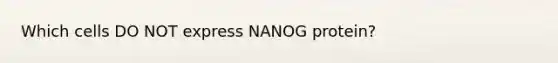 Which cells DO NOT express NANOG protein?