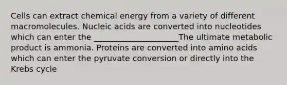 Cells can extract chemical energy from a variety of different macromolecules. Nucleic acids are converted into nucleotides which can enter the _____________________The ultimate metabolic product is ammonia. Proteins are converted into amino acids which can enter the pyruvate conversion or directly into the Krebs cycle