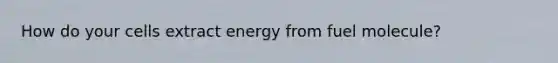 How do your cells extract energy from fuel molecule?