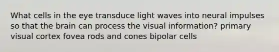 What cells in the eye transduce light waves into neural impulses so that the brain can process the visual information? primary visual cortex fovea rods and cones bipolar cells