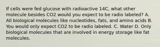 If cells were fed glucose with radioactive 14C, what other molecule besides CO2 would you expect to be radio labeled? A. All biological molecules like nucleotides, fats, and amino acids B. You would only expect CO2 to be radio labeled. C. Water D. Only biological molecules that are involved in energy storage like fat molecules.