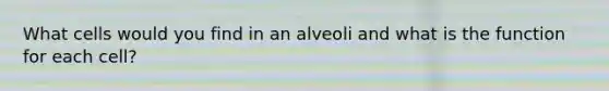 What cells would you find in an alveoli and what is the function for each cell?