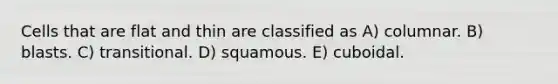 Cells that are flat and thin are classified as A) columnar. B) blasts. C) transitional. D) squamous. E) cuboidal.