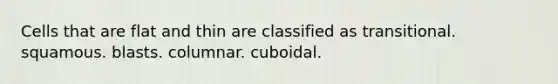 Cells that are flat and thin are classified as transitional. squamous. blasts. columnar. cuboidal.