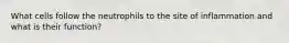 What cells follow the neutrophils to the site of inflammation and what is their function?
