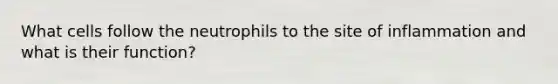 What cells follow the neutrophils to the site of inflammation and what is their function?