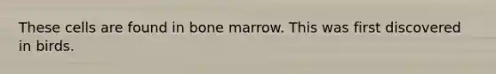 These cells are found in bone marrow. This was first discovered in birds.