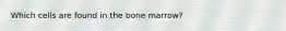 Which cells are found in the bone marrow?