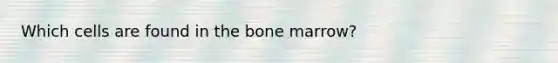 Which cells are found in the bone marrow?