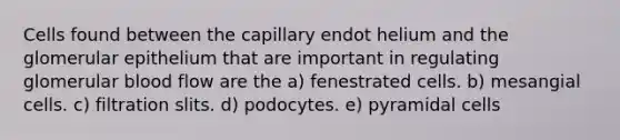 Cells found between the capillary endot helium and the glomerular epithelium that are important in regulating glomerular blood flow are the a) fenestrated cells. b) mesangial cells. c) filtration slits. d) podocytes. e) pyramidal cells