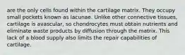 are the only cells found within the cartilage matrix. They occupy small pockets known as lacunae. Unlike other connective tissues, cartilage is avascular, so chondrocytes must obtain nutrients and eliminate waste products by diffusion through the matrix. This lack of a blood supply also limits the repair capabilities of cartilage.