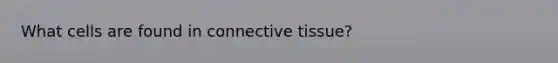 What cells are found in connective tissue?