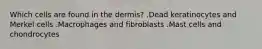 Which cells are found in the dermis? .Dead keratinocytes and Merkel cells .Macrophages and fibroblasts .Mast cells and chondrocytes