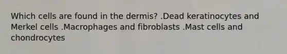 Which cells are found in the dermis? .Dead keratinocytes and Merkel cells .Macrophages and fibroblasts .Mast cells and chondrocytes