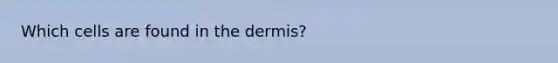 Which cells are found in the dermis?