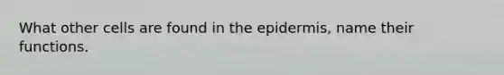 What other cells are found in the epidermis, name their functions.