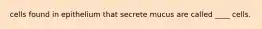 cells found in epithelium that secrete mucus are called ____ cells.