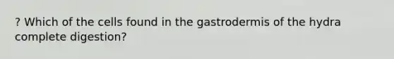 ? Which of the cells found in the gastrodermis of the hydra complete digestion?