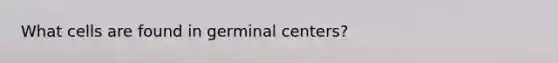 What cells are found in germinal centers?