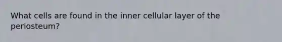 What cells are found in the inner cellular layer of the periosteum?