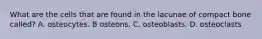 What are the cells that are found in the lacunae of compact bone called? A. osteocytes. B osteons. C. osteoblasts. D. osteoclasts