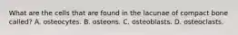 What are the cells that are found in the lacunae of compact bone called? A. osteocytes. B. osteons. C. osteoblasts. D. osteoclasts.