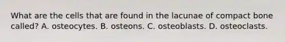 What are the cells that are found in the lacunae of compact bone called? A. osteocytes. B. osteons. C. osteoblasts. D. osteoclasts.