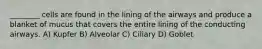 ________ cells are found in the lining of the airways and produce a blanket of mucus that covers the entire lining of the conducting airways. A) Kupfer B) Alveolar C) Ciliary D) Goblet