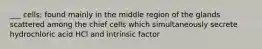 ___ cells: found mainly in the middle region of the glands scattered among the chief cells which simultaneously secrete hydrochloric acid HCl and intrinsic factor