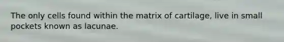 The only cells found within the matrix of cartilage, live in small pockets known as lacunae.