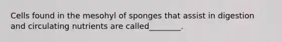 Cells found in the mesohyl of sponges that assist in digestion and circulating nutrients are called________.